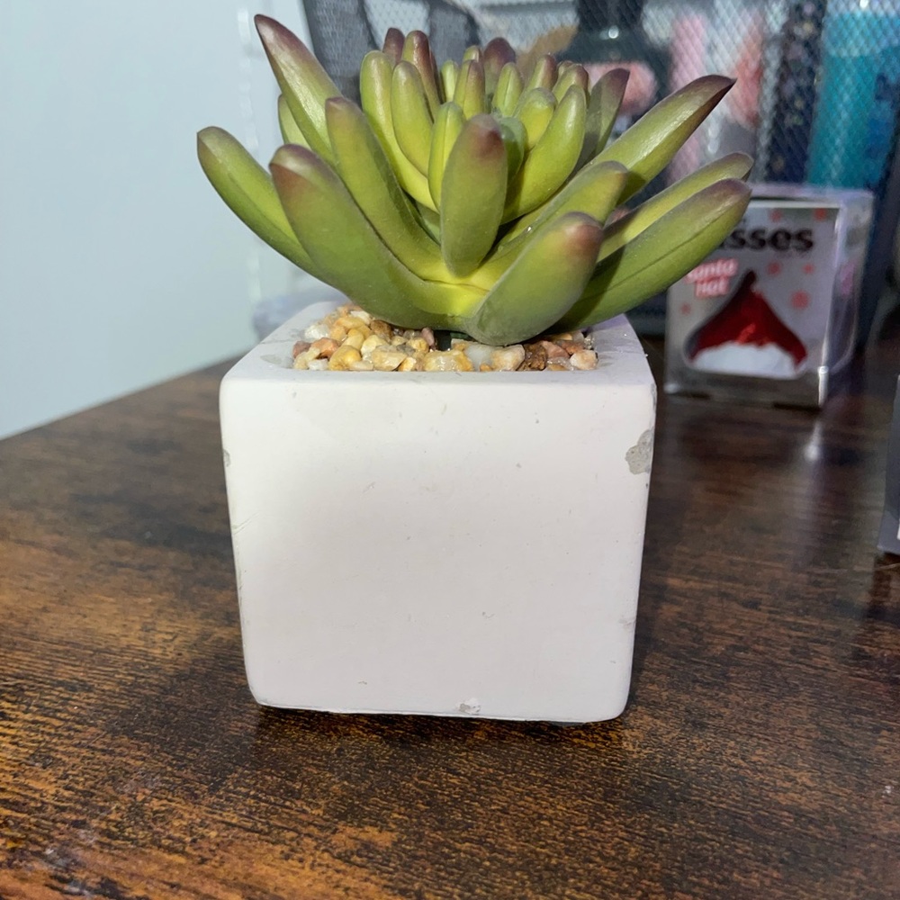 Hobby Lobby fake plant decor